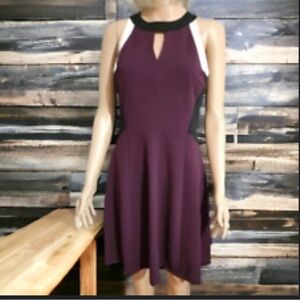 NWOT Tommy Hilfiger Plum Purple and Black High Neck A-Line Dress